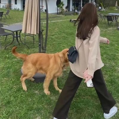 我们要一个小小的圣诞节
